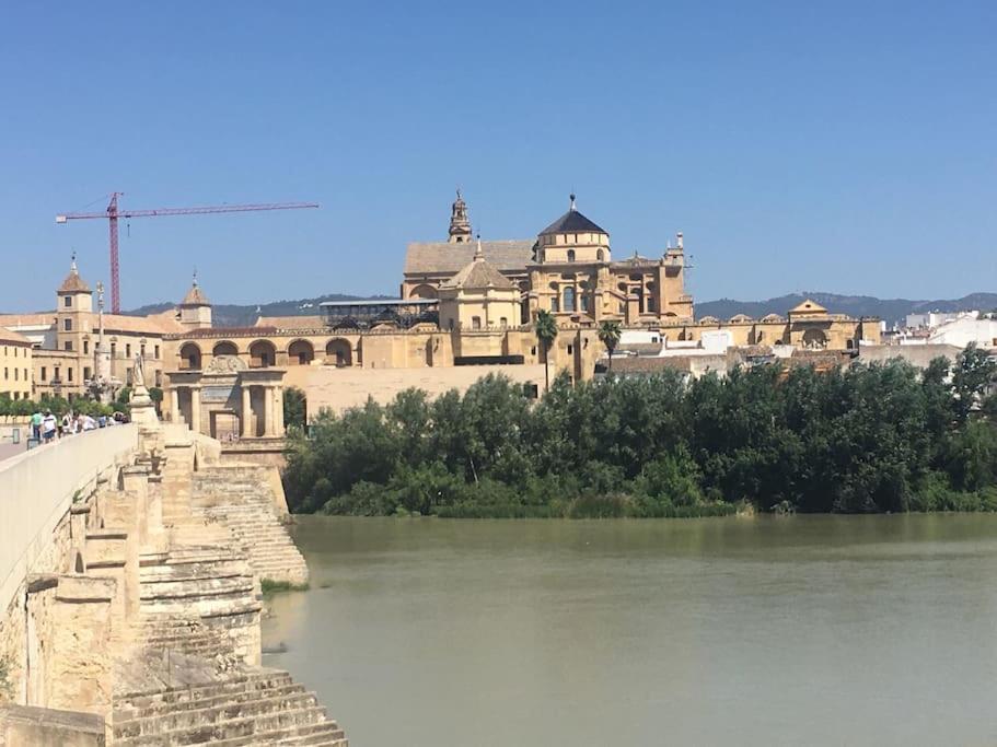 Zoco * Córdoba