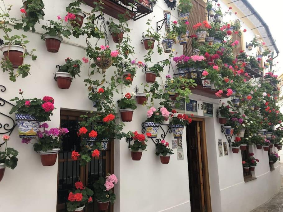 Zoco Cordoba